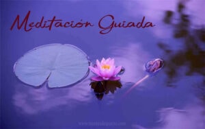 para que sirve la flor de loto