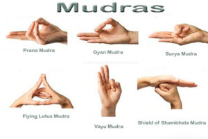 Guia de mudras de como hacerlos